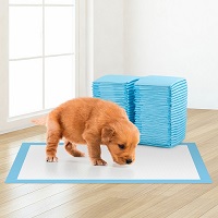 Add a review for: 50 Large Puppy Training Trainer Train Pads Toilet Pee Wee Mats Poo Dog Pet Cat