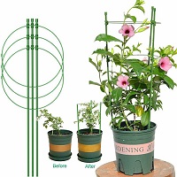 Add a review for: 2216  Conical Garden Plant Support Ring for Different Sized Pots Support Flowers Stalk