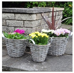 Add a review for: Garden Planters