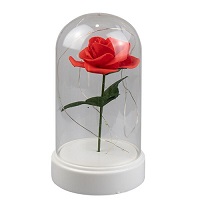 Add a review for: Valentine's Day Rose Cloche Jar LED Light Up Wire Gift Present Him / Her 19cm