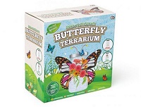 Grow and Decorate Butterfly Terrarium Paint Plant Growing Equipment DIY