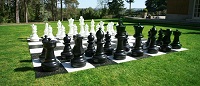 Add a review for: Giant Chess