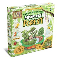 Add a review for:  Paint and Grow Your Own Miniature Forest Planter Pebbles Wooden House Create