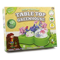 Grow your own table top greenhouse 